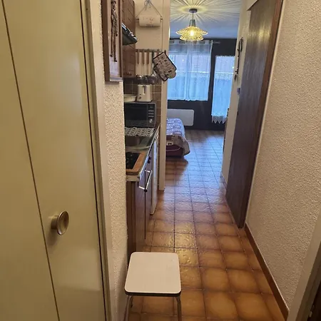 Lägenhet 4 Pers, Animaux Admis, Araches-la-frasse - Fr-1-836-66 Les Carroz d'Araches